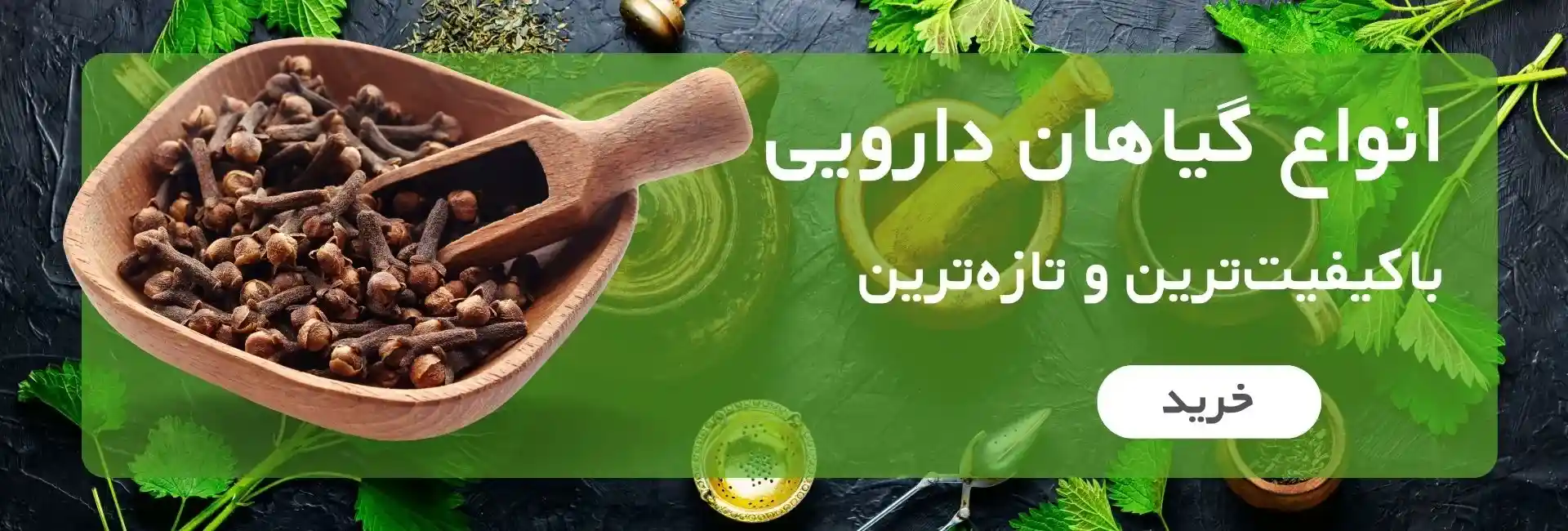 گیاهان دارویی